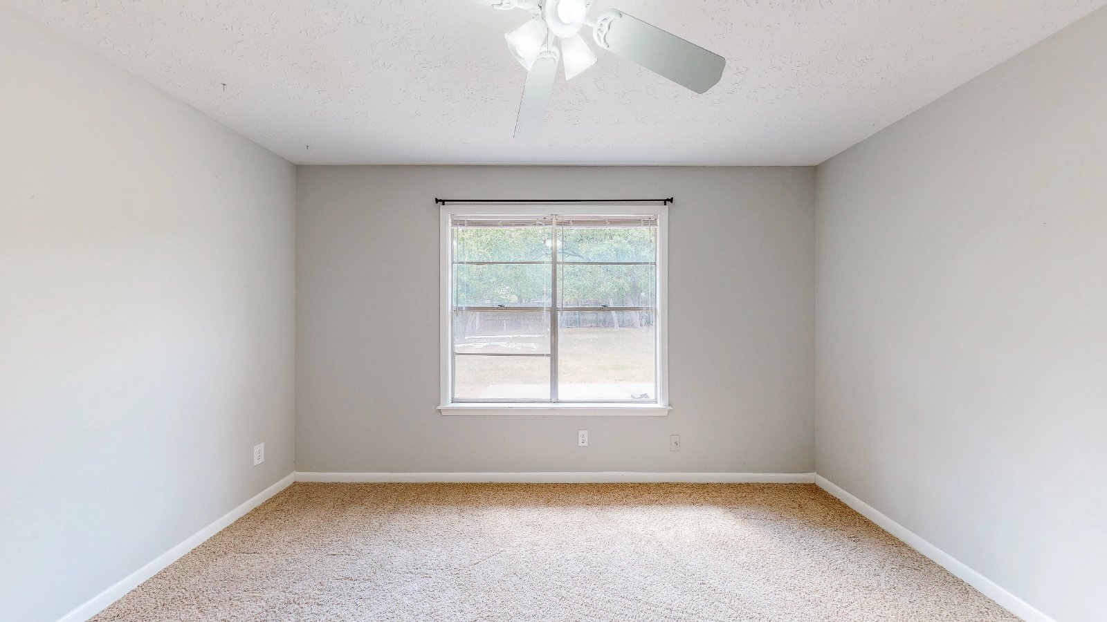 1000 Holleman Dr. property image